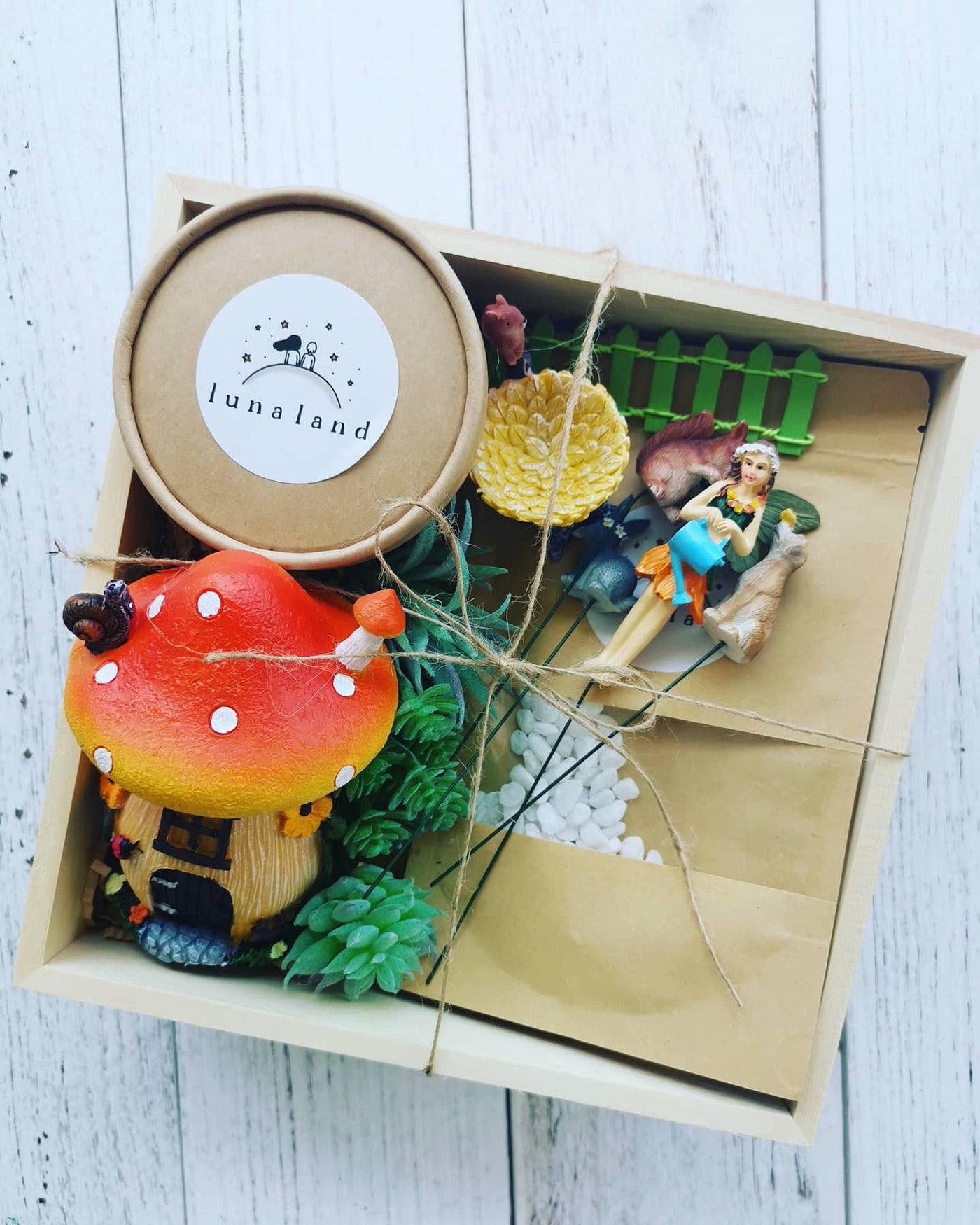 FAIRY GARDEN DIY KIT